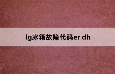 lg冰箱故障代码er dh